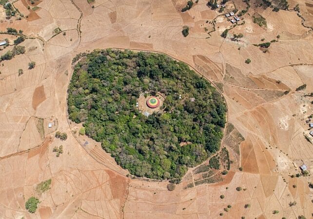 Church Forest Ethiopia - 800+